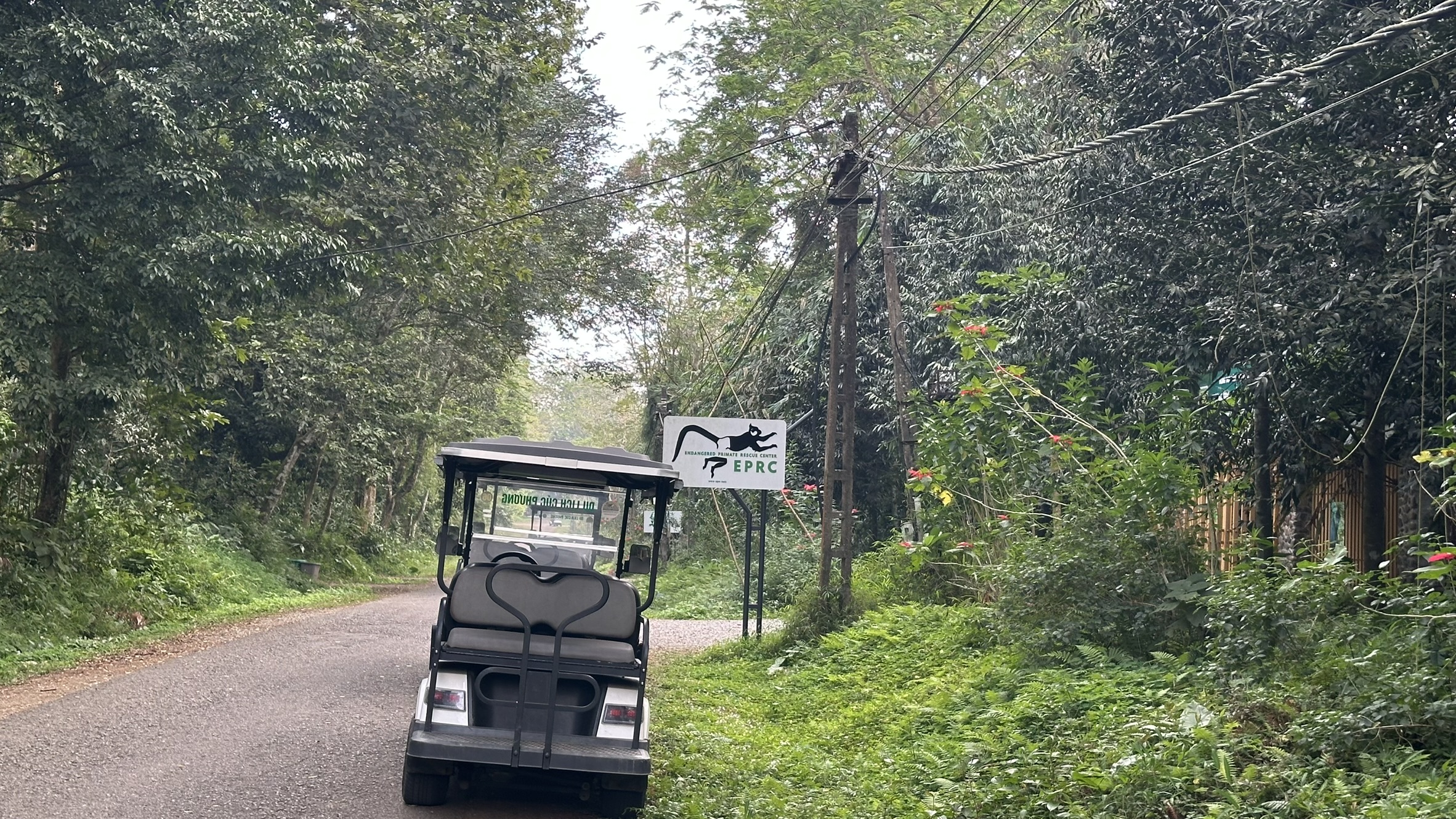 Scenic natural landscape view deep inside the Vietnamese jungle